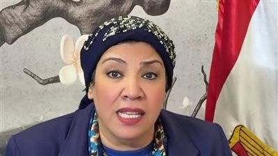 انزلوا احموا أصواتكم.. رسائل هامة من النائبة نشوى الديب قبل ساعات من انطلاق جولة الإعادة بإمبابة - الخليج الان