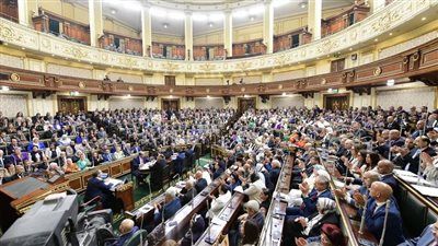 تعليقا على تأخر اللائحة التنفيذية لقانون الفتوى.. دينية النواب لتحيا مصر: إجراءات تنفيذية بسيطة - الخليج الان