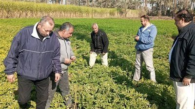 الزراعة: لا خسائر في المحاصيل ولا منازل مهددة.. وتشديد الرقابة على المبيدات - الخليج الان