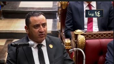 النائب ولاء حافظ لـ تليجراف الخليج: تعديل قانون سيارات ذوى الهمم أولوية قصوى.. وكارت الخدمات المتكاملة لا يحقق المرجو منه - الخليج الان