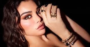 بعد إلغاء قرار وقفها عن الغناء.. هيفاء وهبي تشكر القضاء المصري: حصن العدالة - الخليج الان