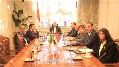 وزير التعليم العالي يبحث مع سفير موريتانيا بالقاهرة تعزيز التعاون - الخليج الان