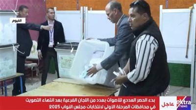 بعد انتهاء عملية التصويت.. بدأ أعمال الفرز في لجان الـ 19 دائرة الملغاة - الخليج الان