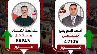 وفقا للحصر العددي.. مرشحان مستقلان يحسمان مقعدي قوص - قنا - الخليج الان