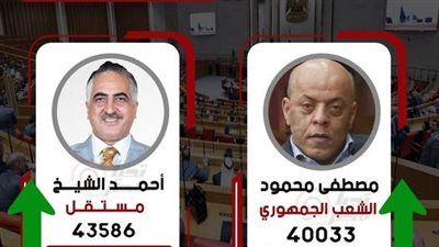 وفقا للحصر العددي.. مرشح الشعب الجهوري ومستقل يحصدان مقعدي أول قنا - الخليج الان