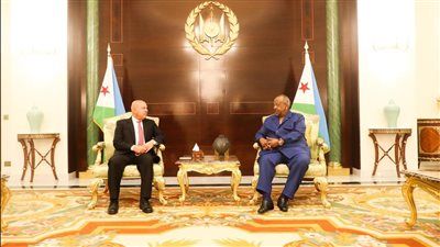 رئيس جمهورية جيبوتي يستقبل وزير الصناعة والنقل.. تفاصيل - الخليج الان