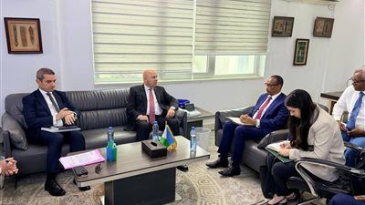 من الدواء إلى الزراعة الذكية.. مصر تعمق شراكتها الاقتصادية مع جيبوتي - الخليج الان