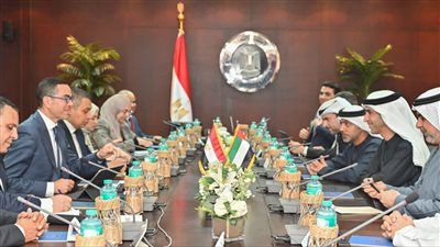 شراكة اقتصادية أعمق.. مصر والإمارات تبحثان تسريع اتفاقية الشراكة الشاملة - الخليج الان