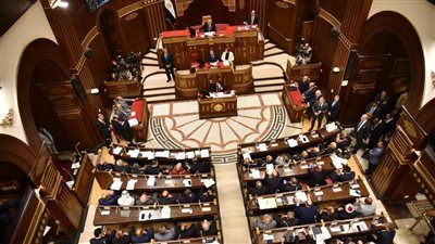 الإثنين المقبل.. لجنة التعليم والاتصالات بالشيوخ تناقش اقتراح النائبة ولاء هرماس بشان تقييد منصة «روبلوكس» - الخليج الان