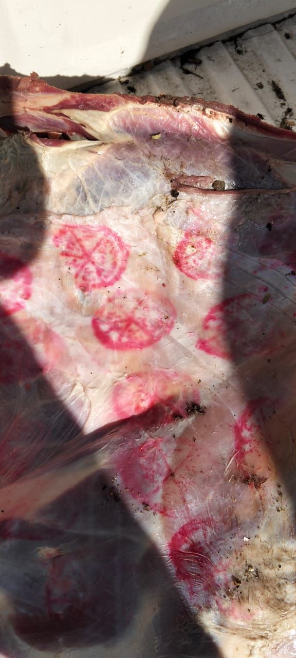 ضبط 55 كجم لحوم بلدية غير صالحة للإستهلاك الآدمي بالمنوفية - الخليج الان