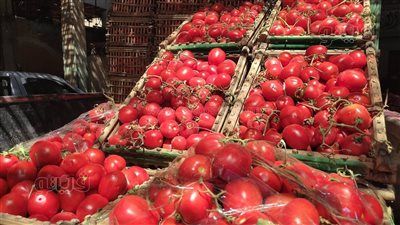 خزنوا الطماطم عشان وصلت قبل كده لـ 50 جنيه.. نقيب الفلاحين يعلن السعر المتوقع - الخليج الان