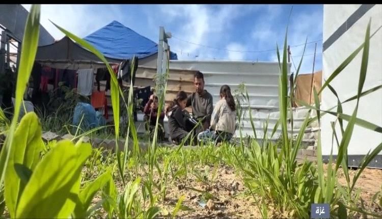 غزة.. الزراعة هربا من الجوع والفقر