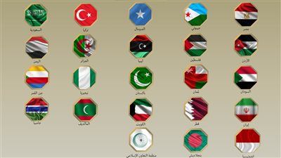 مصر و 21 دولة في بيان مشترك: نرفض المساس بسيادة الصومال - الخليج الان