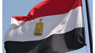 الدبلوماسية التنموية المصرية.. كيف قادت الوكالة المصرية للشراكة التنمية في إفريقيا؟ - الخليج الان