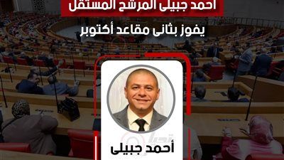 رسميا.. أحمد جبيلي يحسم المقعد الثاني لدائرة أكتوبر بمجلس النواب - الخليج الان