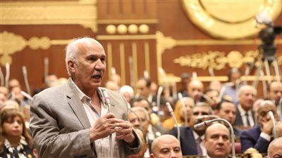 السيد عبد العال لـ تليجراف الخليج: أؤيد توسيع صلاحيات الشيوخ.. ويجب فتح نقاشات لتعديل بعض مواد الدستور - الخليج الان