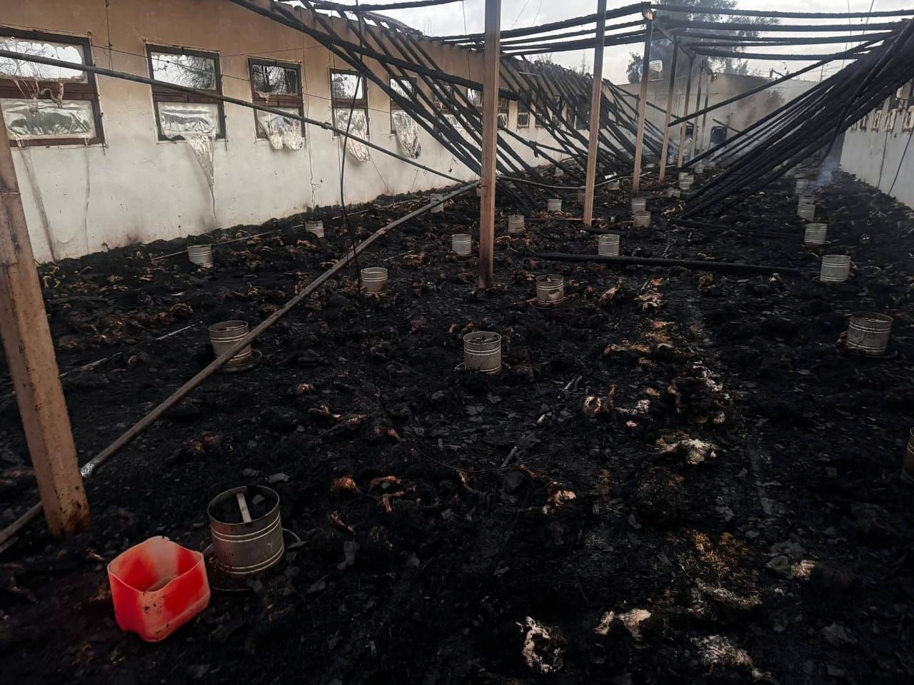 الدفع بـ ١٦ سيارة اطفاء للسيطرة على حريق مزرعة دواجن بالغربية - الخليج الان