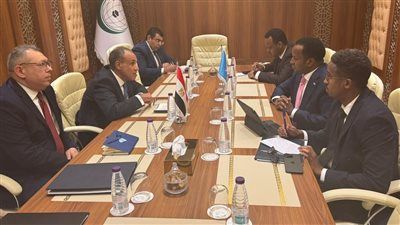 «مصر تكثف دبلوماسيتها في أفريقيا».. القاهرة تتحرك بقوة لدعم الصومال - الخليج الان