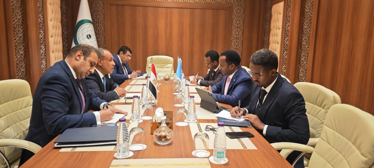 «مصر تكثف دبلوماسيتها في أفريقيا».. القاهرة تتحرك بقوة لدعم الصومال - الخليج الان