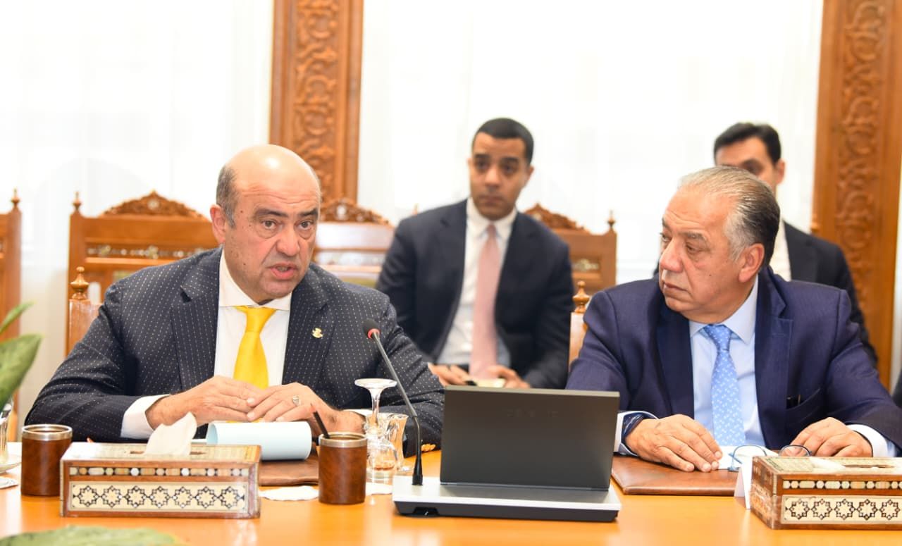 وزير الخارجية: القطاع الخاص ركيزة الرئيسية لتعميق العلاقات الاقتصادية مع الدول الأفريقية - الخليج الان