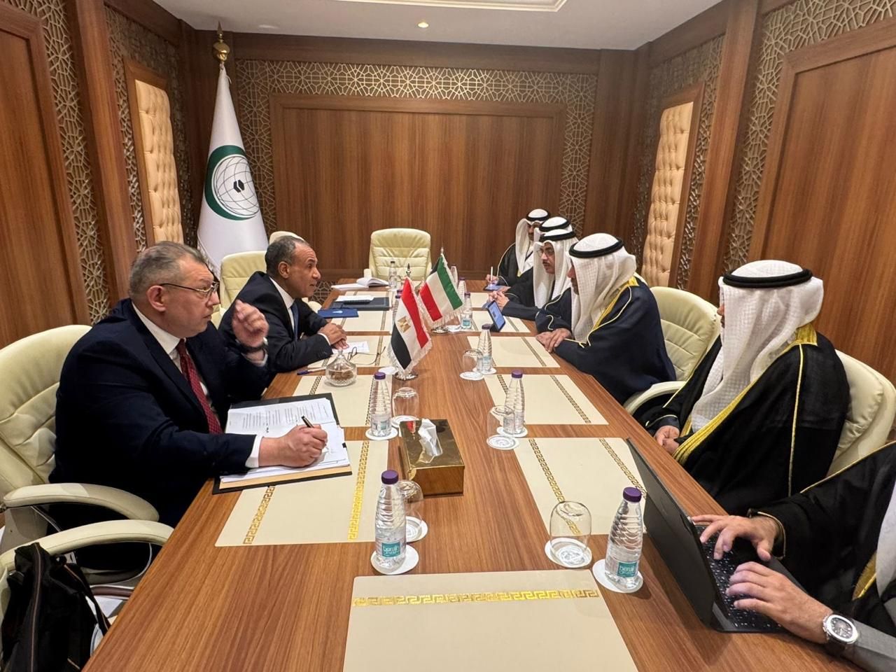 «تحذيرات مصرية من التحركات الإسرائيلية في القرن الإفريقي».. ماذا ناقش وزير الخارجية مع نظيره الكويتى؟ - الخليج الان