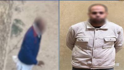 ضبط المتهم بـ سب جيرانه اعتراضًا على إطعام الكلاب الضالة بالجيزة - الخليج الان