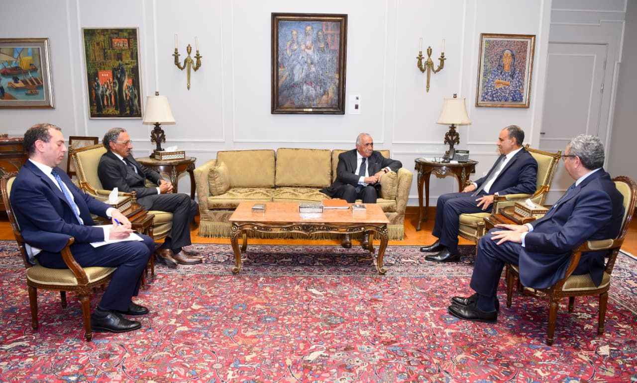 وزير الخارجية: مصر مركز محوري للنفاذ إلى الأسواق الأفريقية والشرق أوسطية والأوروبية - الخليج الان