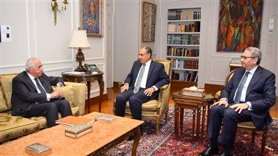 وزير الخارجية: مصر مركز محوري للنفاذ إلى الأسواق الأفريقية والشرق أوسطية والأوروبية - الخليج الان