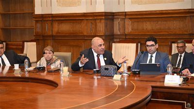 النائب محمد أبو النصر يطالب بتطوير قصور الثقافة وإشراك القطاع الخاص في دعم الأنشطة الثقافية - الخليج الان