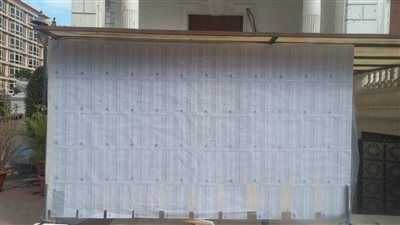 إعلان كشوف الجمعية العمومية لانتخابات رئاسة الحزب داخل المقر الرئيسى بالدقى - الخليج الان