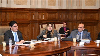 برئاسة النائب أحمد أبو هشيمة.. "مالية الشيوخ" تناقش مشروع قانون حماية المنافسة بحضور قيادات الجهات الرقابية والاقتصادية - الخليج الان