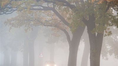 ضباب صباحي وبرودة شديدة ليلاً..حالة الطقس اليوم الجمعة 16 يناير 2026 - الخليج الان