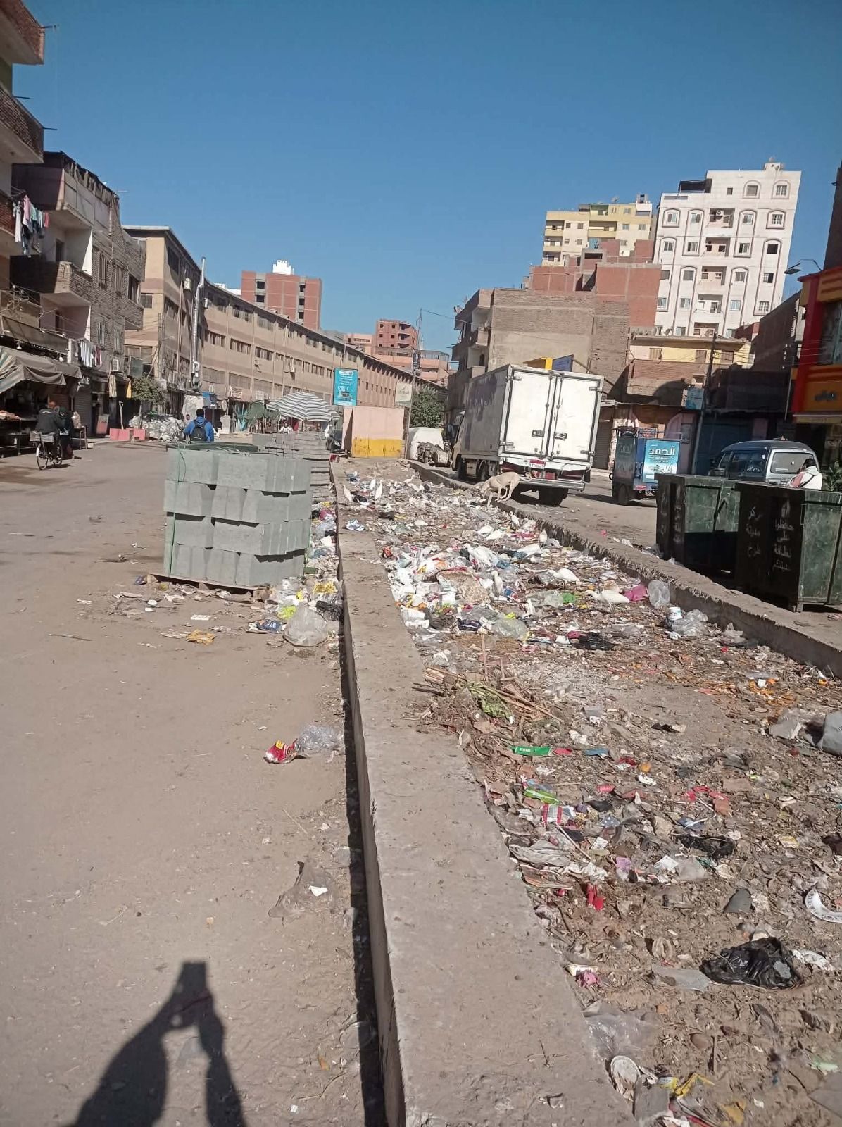 النائبة إيرين سعد تتقدم بطلب إحاطة بشأن تدهور الخدمات وتراكم القمامة بمدينة طوخ - الخليج الان