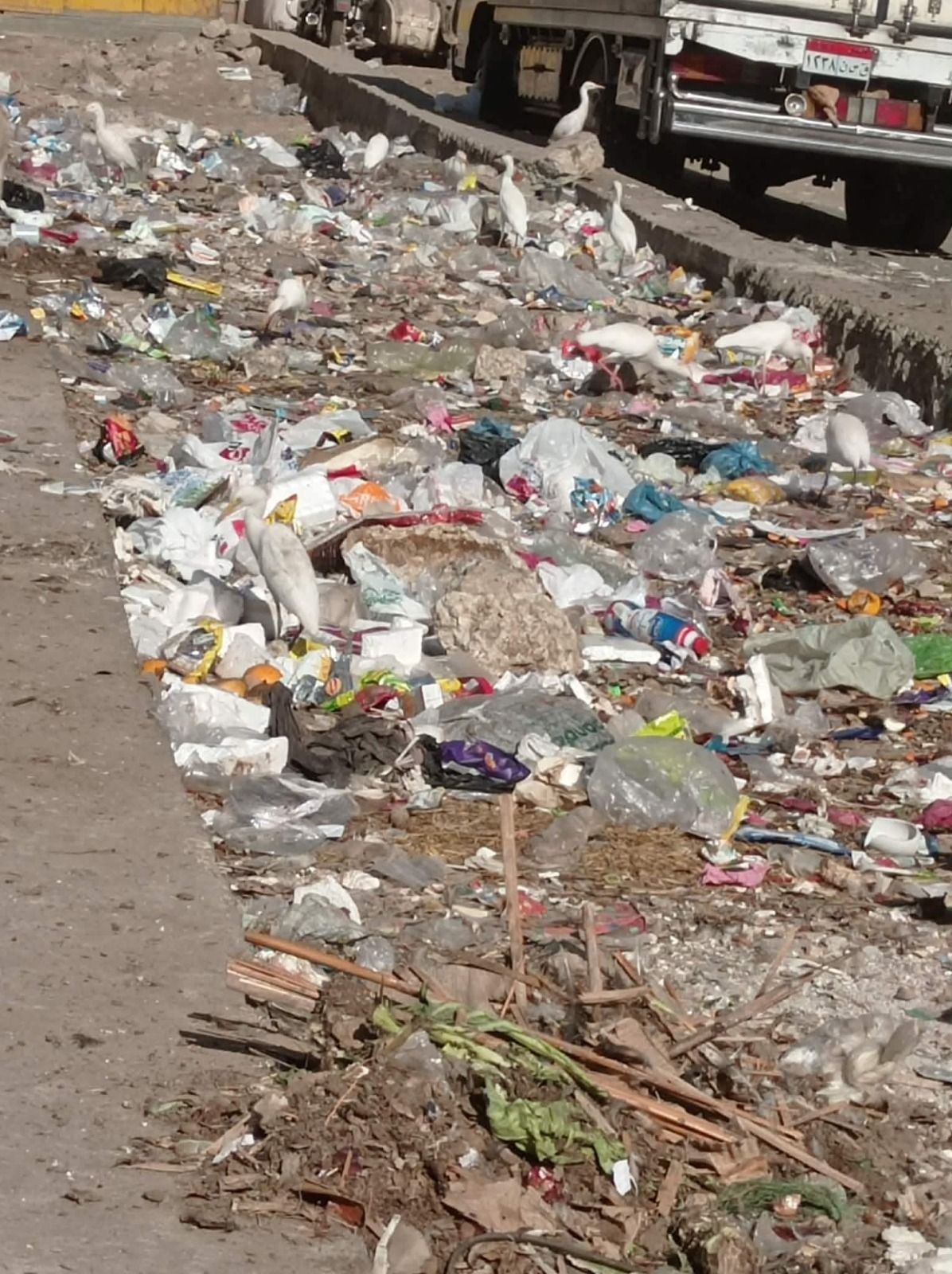 النائبة إيرين سعد تتقدم بطلب إحاطة بشأن تدهور الخدمات وتراكم القمامة بمدينة طوخ - الخليج الان