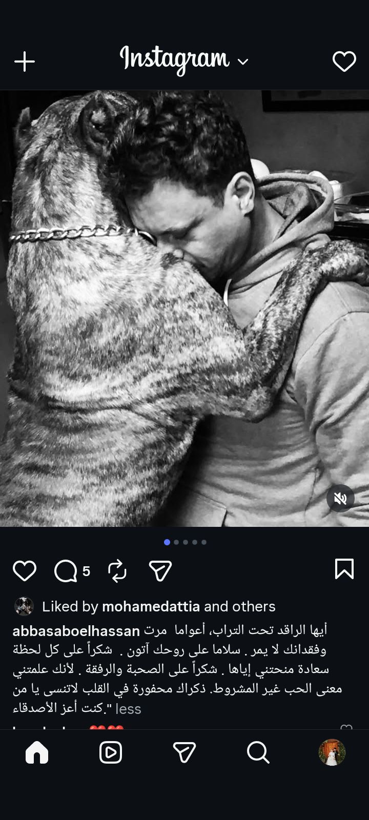 أعواما مرت وفقدانك لا يمر.. عباس أبو الحسن يرثي كلبه بكلمات مؤثرة - الخليج الان