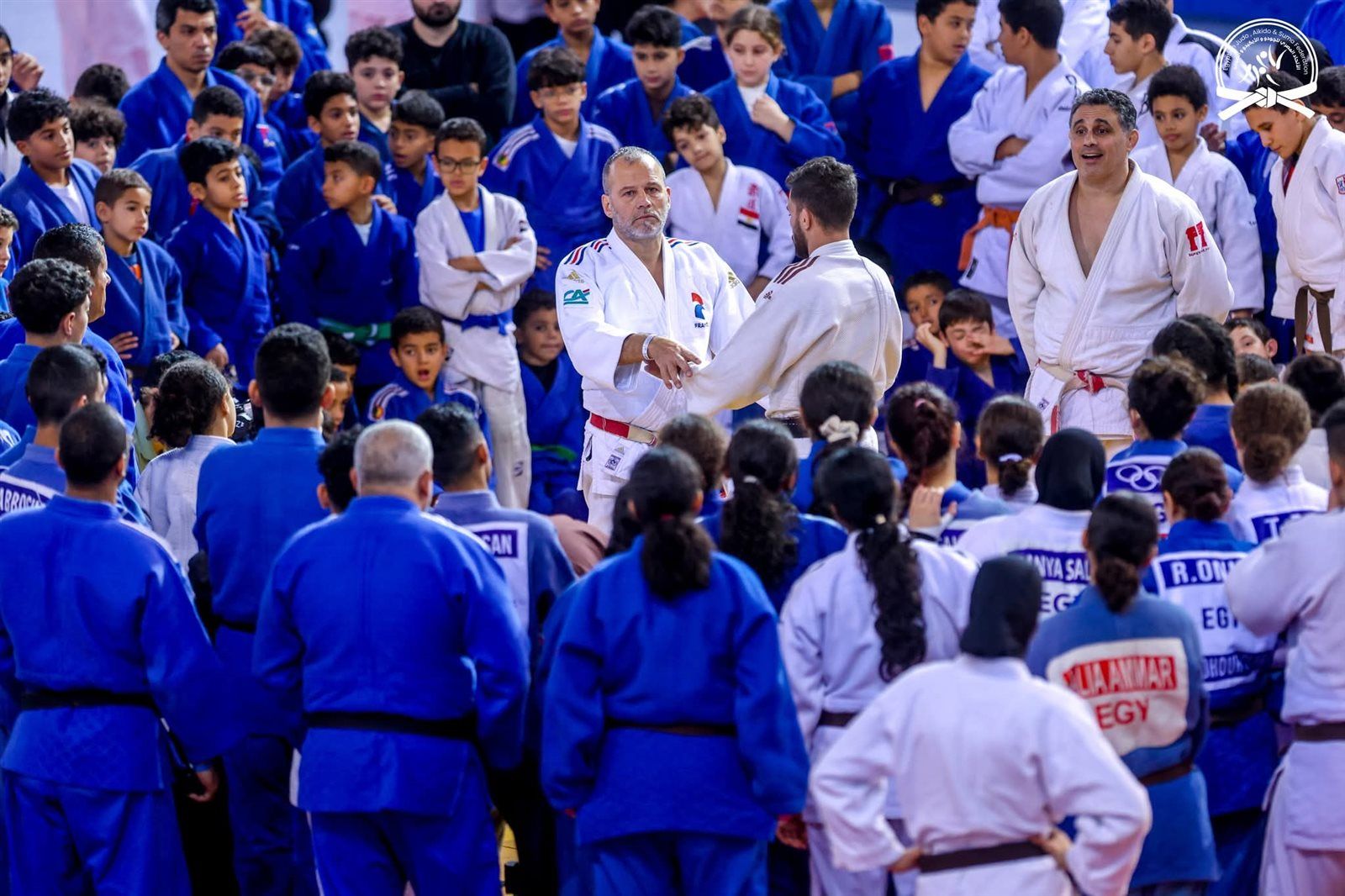 محمد صبرة: بطولة الجودو الدولية بالغردقة بداية صناعة الأبطال - الخليج الان