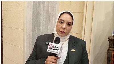 النائبة وفاء رشاد ل “تليجراف الخليج”: الإنترنت المنزلي مرفق حيوي والنفاد المبكر للباقات يرهق الأسر - الخليج الان