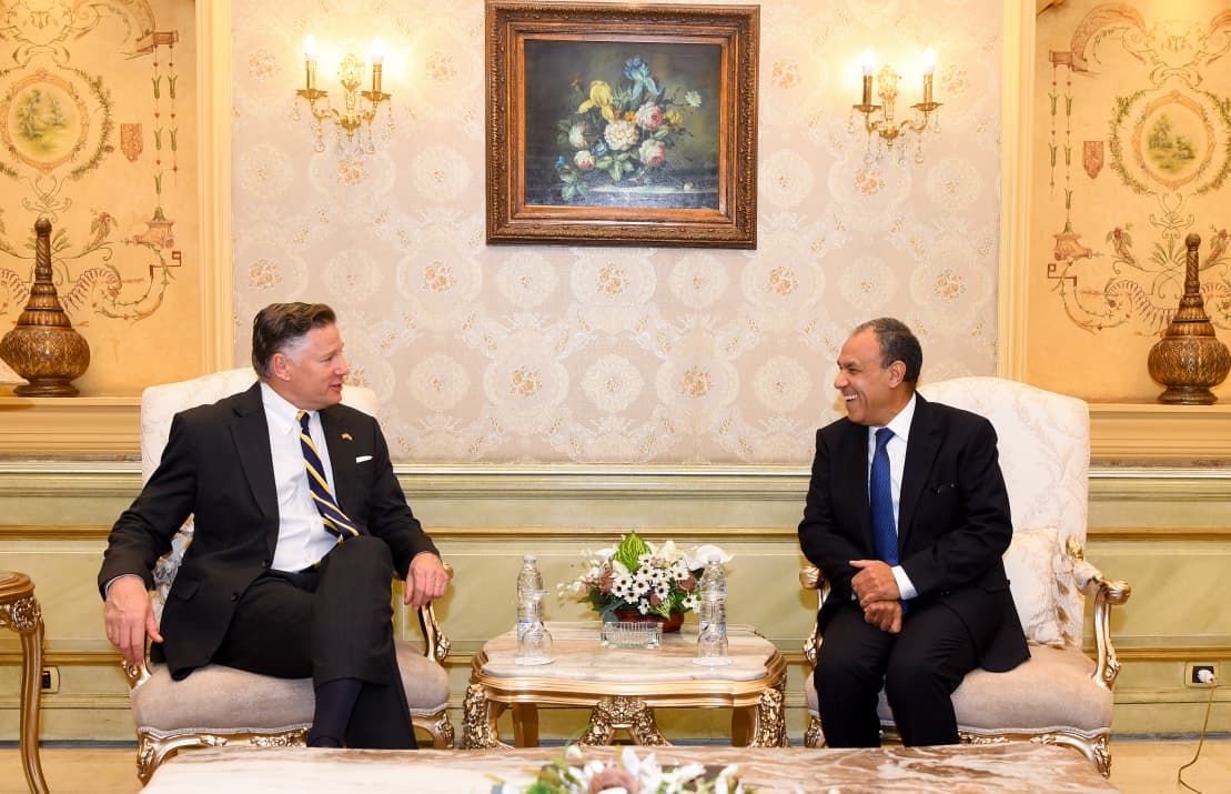 وزير الخارجية: مصر تعيش في ندرة مائية حادة - الخليج الان