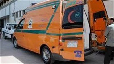 إصابة 4 أطفال من أسرة واحدة بحالة تسمم غذائي في الدقهلية بعد تناول تمر - الخليج الان