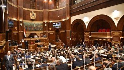 مجلس الشيوخ يناقش اقتراح النائبة ولاء هرماس بشأن تقييد منصة روبلوكس حماية النشء - الخليج الان