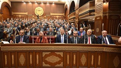 مجلس الشيوخ يناقش اقتراح النائب باسل عادل بشأن تحويل مستشفى قرية الروضة في الشرقية لوحدة طب أسرة مطورة - الخليج الان