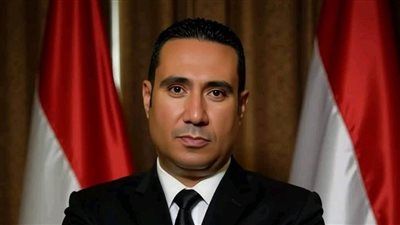 قيادي بحماة الوطن: الموقف المصري الأردني الموحد يُحصّن القضية الفلسطينية من محاولات الالتفاف - الخليج الان