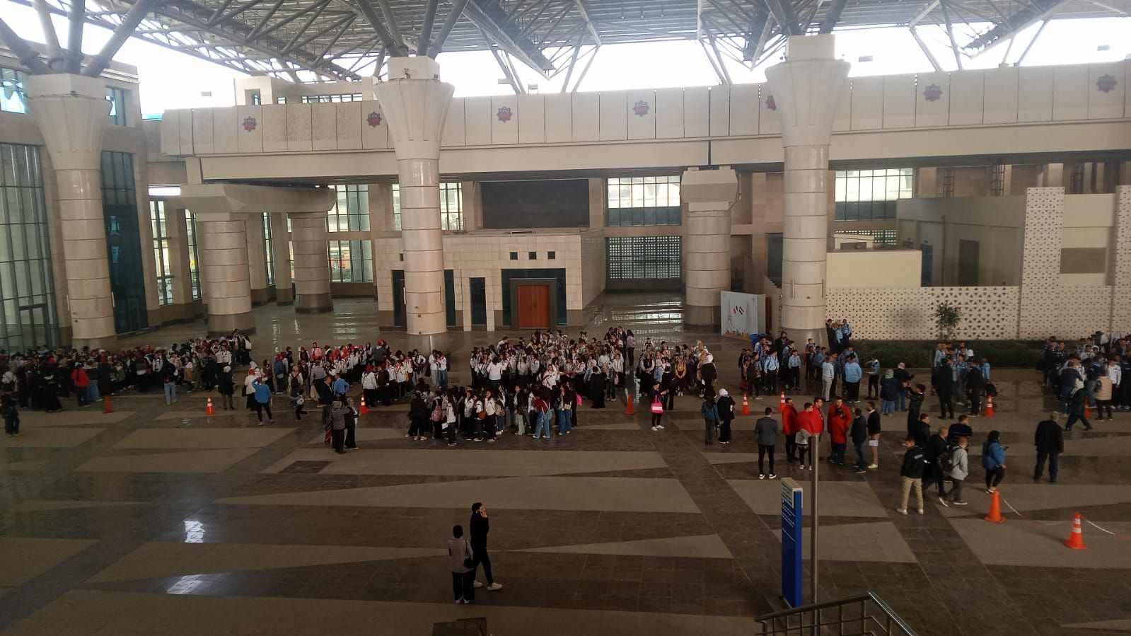 وزارة النقل تسير رحلات بتخفيضات لنقل 3000 شاب وفتاة إلى العاصمة الإدارية  الجديدة - الخليج الان