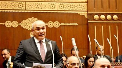 النائب شعبان رأفت يدعو لضرورة التوعية الإعلامية والاستثمار الوطنى في الأطفال - الخليج الان