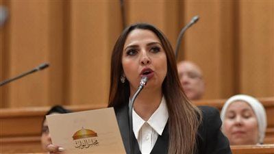 قانون «73».. إحاطة عاجلة للحكومة لإنصاف آلاف الموظفين المتضررين من التطبيق - الخليج الان