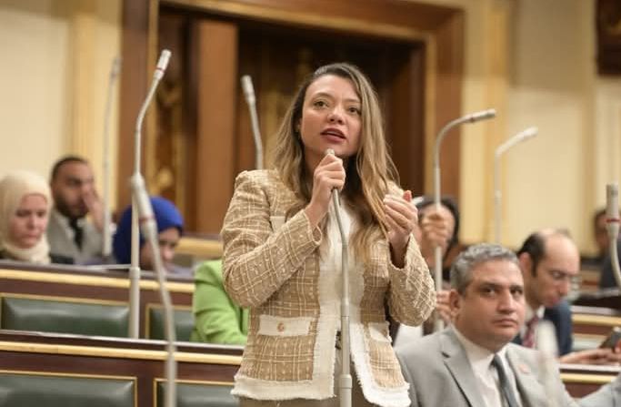 النائبة مي كرم جبر تتقدم بطلب إحاطة عاجل بشأن غياب وصلة مشاة بطريق الدائري في المرج بعد أعمال التطوير - الخليج الان