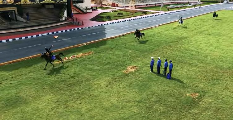 عروض قتالية ومهارات فروسية تبهر وفد الدبلوماسية الشبابية داخل أكاديمية الشرطة - الخليج الان