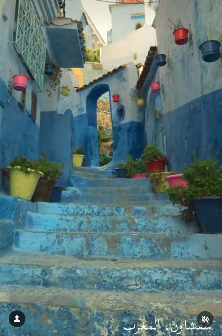 بين مصر والمغرب.. حمادة هلال يشارك أماكن تصوير مسلسل المداح 6 أسطورة النهاية - الخليج الان