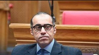 وزير سياسي يعرف كيف تكون العلاقة بين الحكومة والبرلمان. عمرو الديب رئيس تحرير تليجراف الخليج يتحدث عن الوزير محمود فوزي - الخليج الان