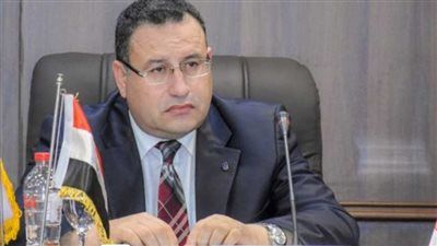 من هو الدكتور عبد العزيز قنصوه وزيرًا للتعليم العالي - الخليج الان